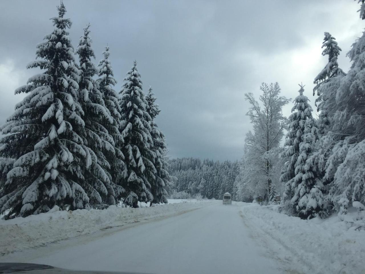 Котедж Смерекова Хата- Пилипець Kelechin Exteriör bild